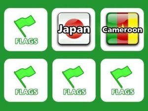 World Flag Matching Game