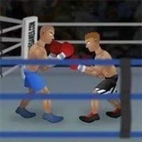 Champion Boxing Sports