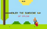Enjoy The Sunshine: Bird Adventure
