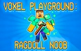 Voxel Playground - Ragdoll Noob Physics Sandbox Online Game