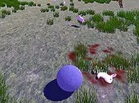 Rabbit Chase Adventure