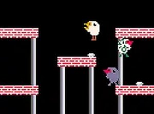 Bird Head Joust Online Game