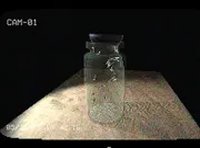 Flies in a Jar Puzzle Room Escape Game