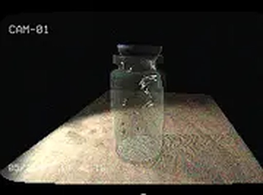 Flies in a Jar Puzzle Room Escape Game